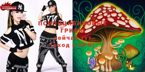 ешки Аркадак