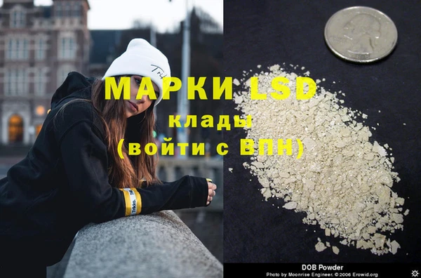 ешки Аркадак