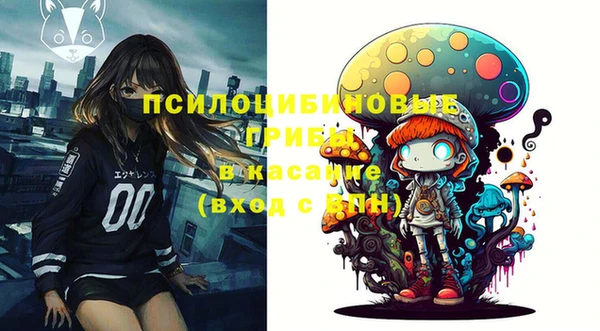 ешки Аркадак