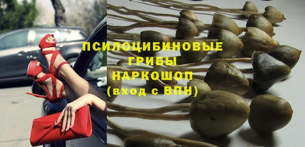 ешки Аркадак